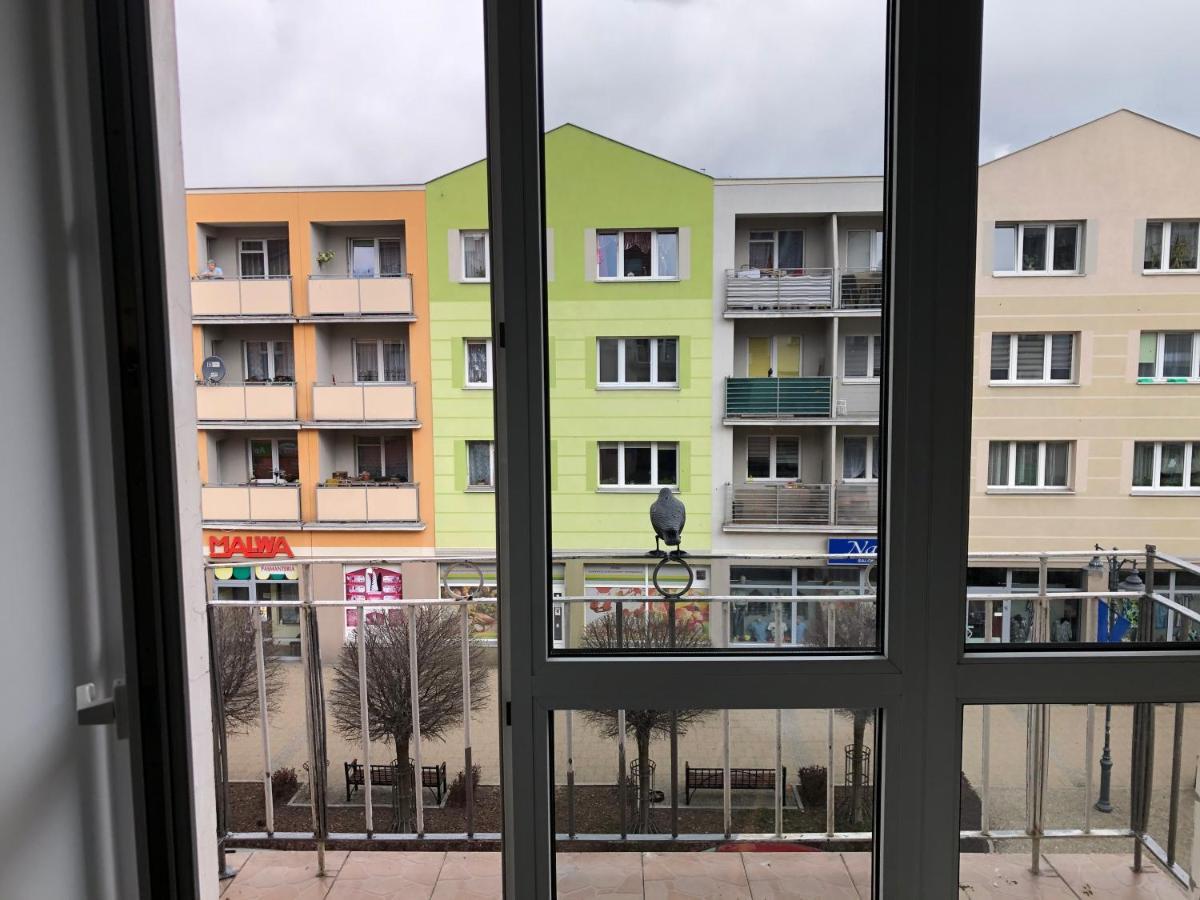 Apartament Kosciuszki Malbork Exterior foto